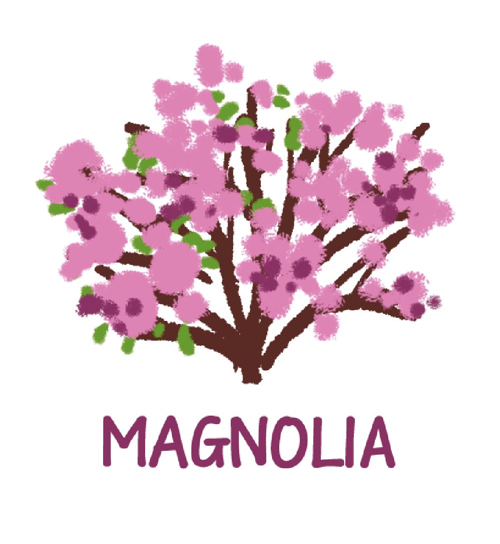 magnolia